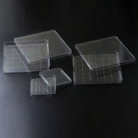 Square Dish(SPL) (11125 ,11245,10245)