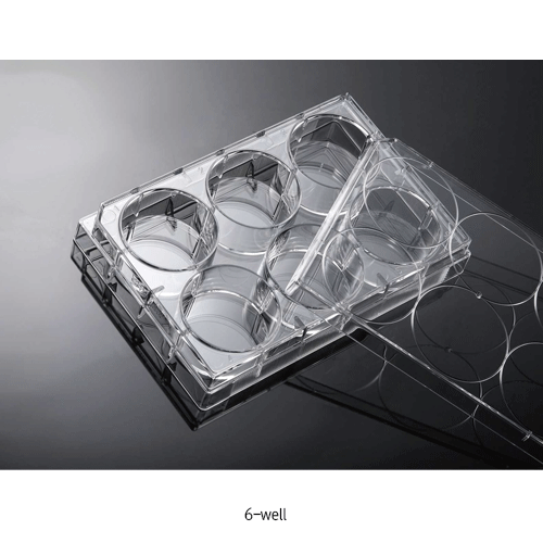 Biofil® Cell and Tissue Culture Plate, PS, TC-Treated & Non-Treated Surface, 6·12·24·48·96·384-Flat Well With Lid, Labeled Alphanumeric Code, Individual Packing, γ-Sterile, 컬쳐 플레이트
