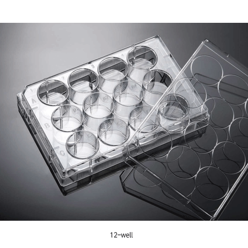 Biofil® Cell and Tissue Culture Plate, PS, TC-Treated & Non-Treated Surface, 6·12·24·48·96·384-Flat Well With Lid, Labeled Alphanumeric Code, Individual Packing, γ-Sterile, 컬쳐 플레이트