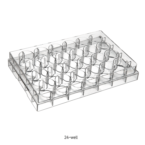 Biofil® Cell and Tissue Culture Plate, PS, TC-Treated & Non-Treated Surface, 6·12·24·48·96·384-Flat Well With Lid, Labeled Alphanumeric Code, Individual Packing, γ-Sterile, 컬쳐 플레이트