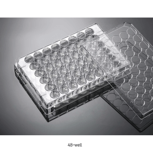 Biofil® Cell and Tissue Culture Plate, PS, TC-Treated & Non-Treated Surface, 6·12·24·48·96·384-Flat Well With Lid, Labeled Alphanumeric Code, Individual Packing, γ-Sterile, 컬쳐 플레이트