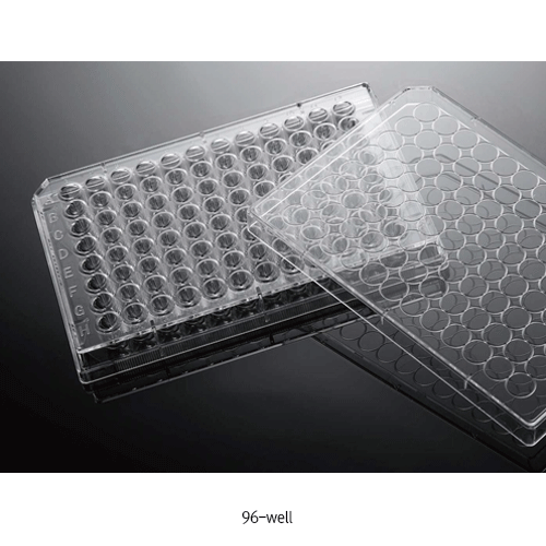Biofil® Cell and Tissue Culture Plate, PS, TC-Treated & Non-Treated Surface, 6·12·24·48·96·384-Flat Well With Lid, Labeled Alphanumeric Code, Individual Packing, γ-Sterile, 컬쳐 플레이트