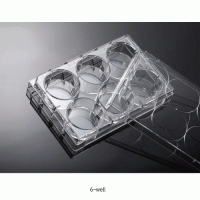 Biofil® Cell and Tissue Culture Plate, PS, TC-Treated & Non-Treated Surface, 6·12·24·48·96·384-Flat Well With Lid, Labeled Alphanumeric Code, Individual Packing, γ-Sterile, 컬쳐 플레이트