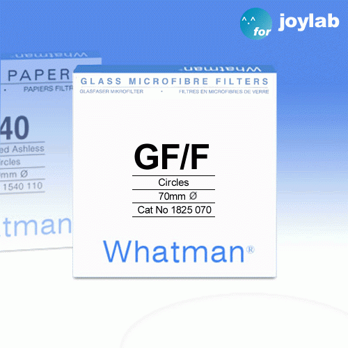 여과지 GF/F(Whatman) GFF