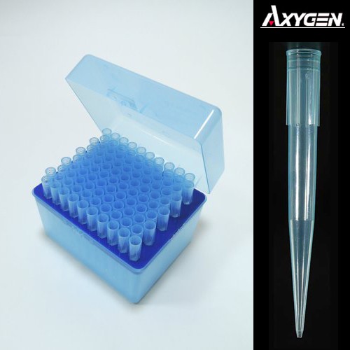 피펫팁&피펫팁랙(Axygen) 100~1000ul (T-1000-B)