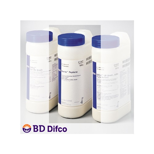 BEEF EXTRACT DESICCATED(211520)