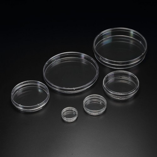 Cell Culture Dish(SPL) (11035~20151)