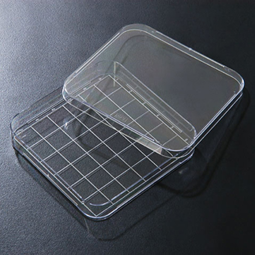 Square Dish(SPL),10125