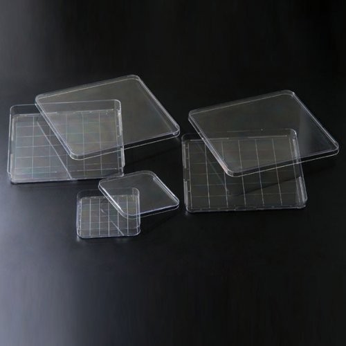 Square Dish(SPL) (11125 ,11245,10245)