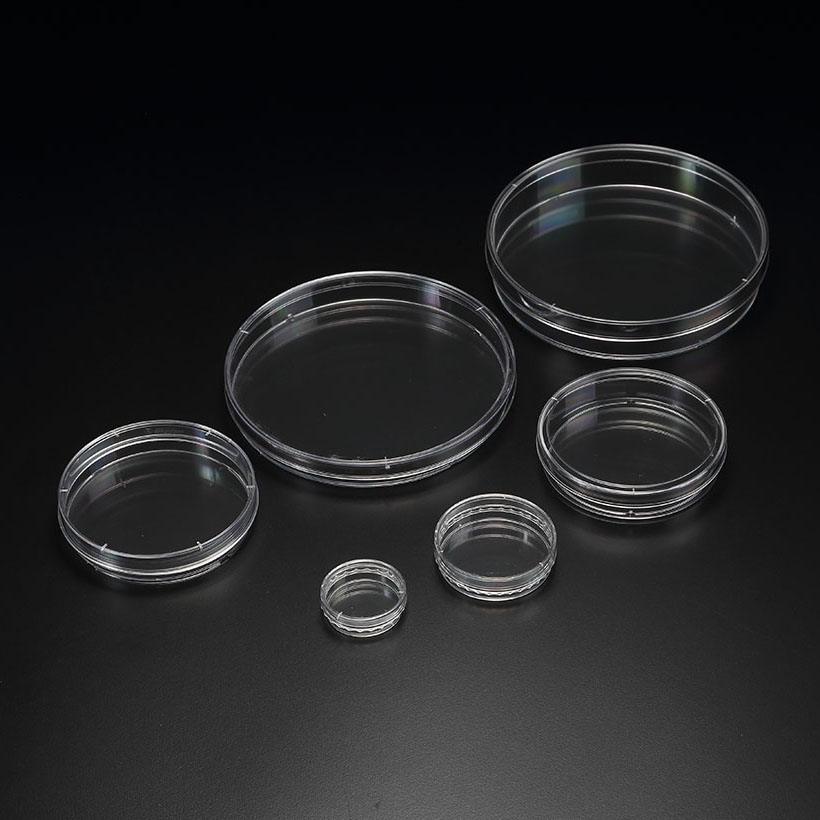 Cell Culture Dish(SPL) 20100