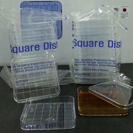 Square Dish(현대) 125mm(240/box) H12125