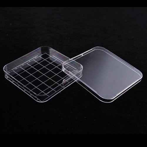 Square Dish(현대) 125mm(240/box) H12125