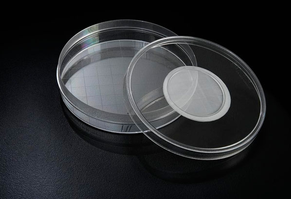 SPL Insect Breeding Dish & Jar