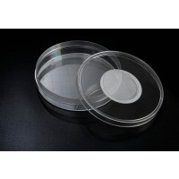SPL Insect Breeding Dish & Jar