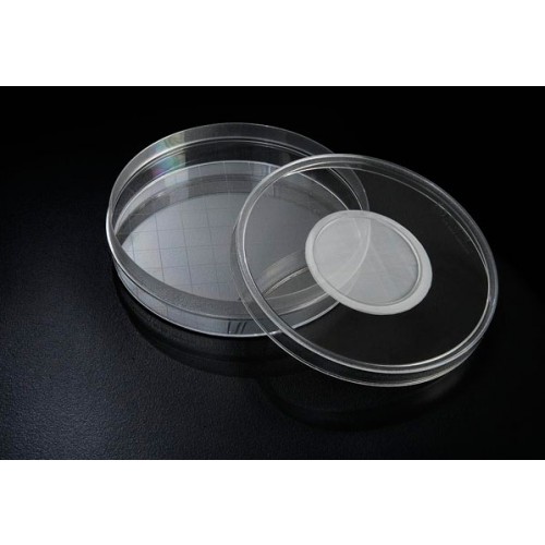 SPL Insect Breeding Dish & Jar